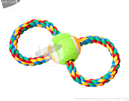 Image of Dog toy on white