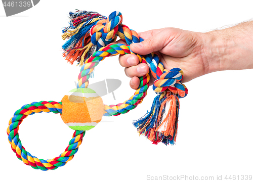 Image of Hand with dog toy