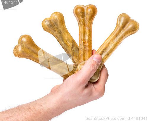 Image of Hand with dog bone