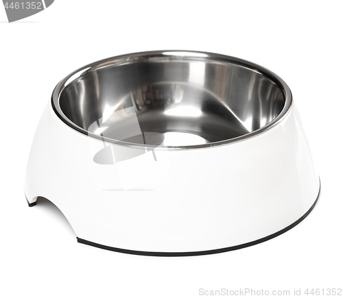 Image of Pets bowl on white