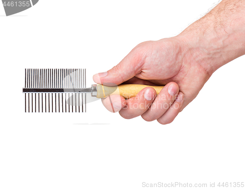 Image of Hand with dogs grooming brush