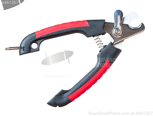 Image of Scissors for claws on white