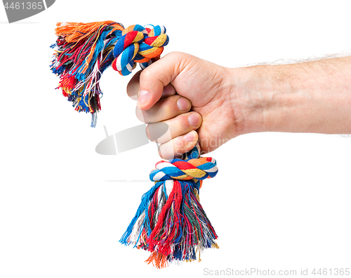 Image of Hand with dog toy