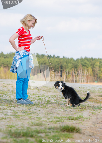 Image of Australian shepherd puppy