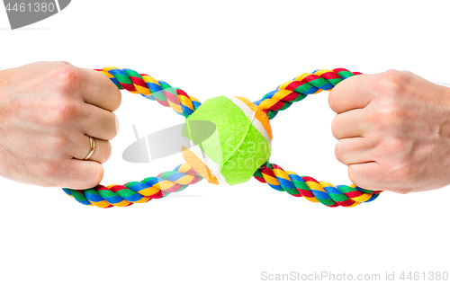 Image of Hand with dog toy