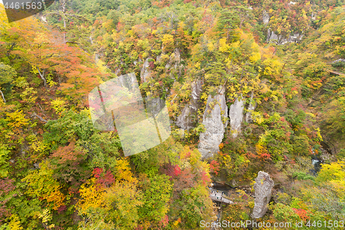 Image of Naruko canyon in Japan at autumn