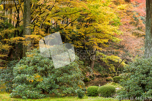 Image of Autumn landscape in Japanese park