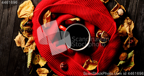 Image of Leaves and nuts around scarf and beverage