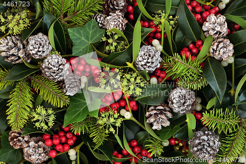 Image of Natural Winter Flora Background