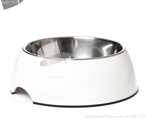 Image of Pets bowl on white