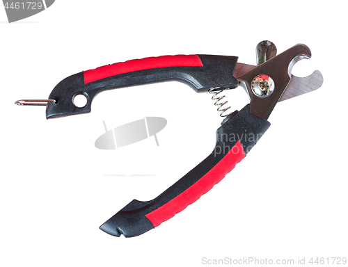 Image of Scissors for claws on white