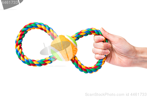 Image of Hand with dog toy