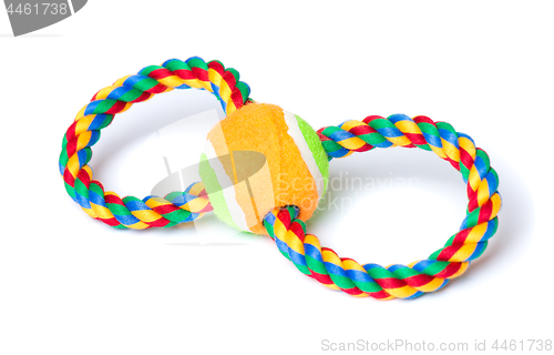 Image of Dog toy on white