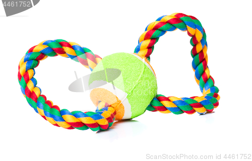 Image of Dog toy on white