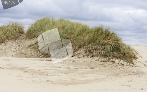 Image of Sandy desert. 