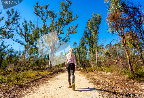 Image of Walking along a bush trail in Australia