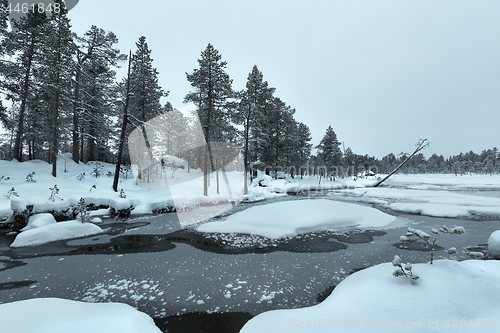 Image of Winter Snowy Landscape