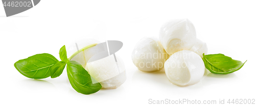 Image of mozzarella cheese balls and basil leaves