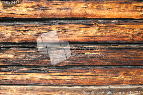 Image of pine logs wall texture