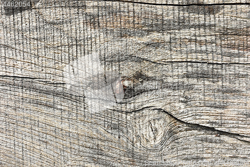 Image of elm wood plank surface