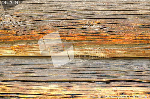 Image of pine planks texture, cladding