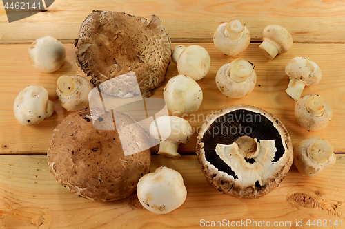 Image of In Farm assorted mushrooms over wooden table 