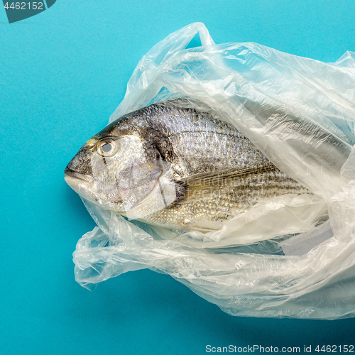 Image of raw sea bream