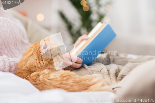 Image of red cat and female owner reading book at home
