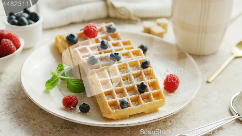 Image of Waffles and berries on plate