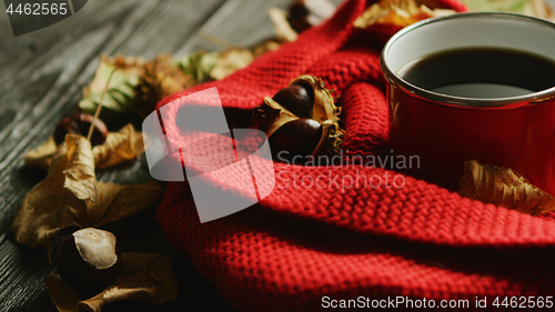 Image of Leaves and nuts near scarf and hot beverage