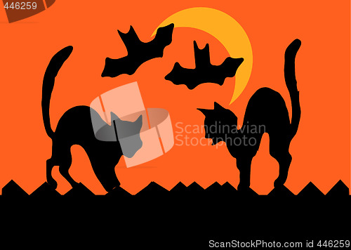 Image of Halloween Cat Fight