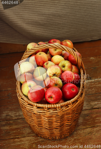 Image of Bright tasty ripe apples in a basket