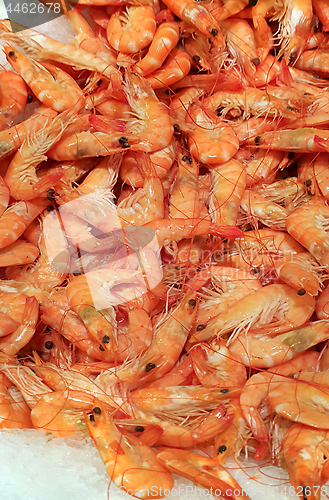Image of Fresh shrimp closeup on the market