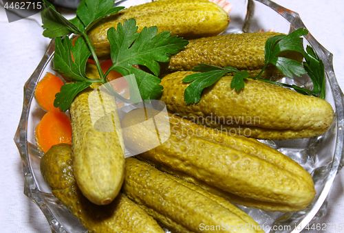 Image of Dish with pickled cucumbers and parsley