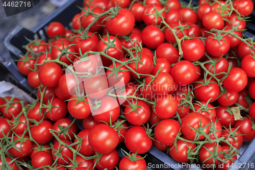 Image of Red cherry tomatoes at the market