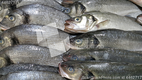 Image of Fresh fish on ice for sale in market