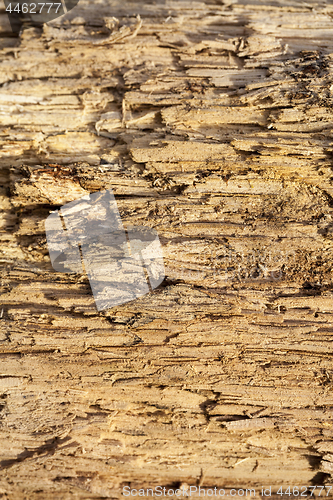 Image of old wooden surface