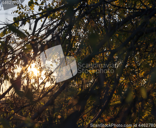 Image of autumn weather, forest