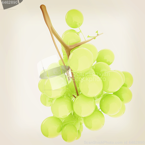 Image of Healthy fruits Green wine grapes isolated white background. Bunc