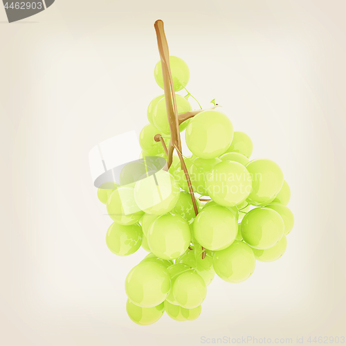 Image of Healthy fruits Green wine grapes isolated white background. Bunc