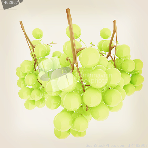 Image of Healthy fruits Green wine grapes isolated white background. Bunc