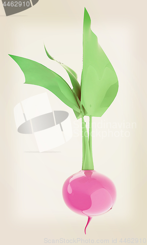 Image of Small garden radish isolated on white background. 3d illustratio