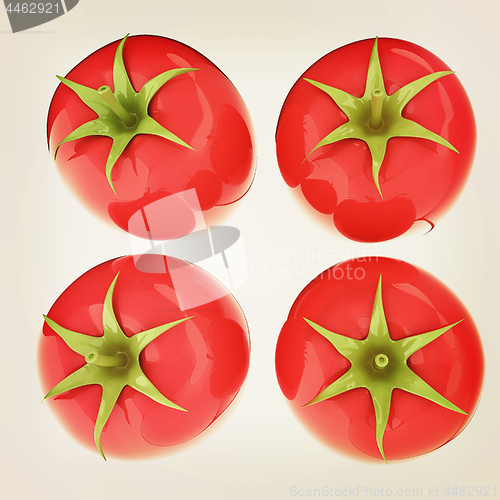 Image of tomato. 3d illustration. Vintage style