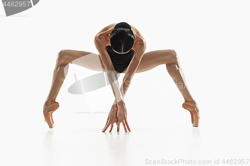 Image of Aerobics fitness woman exercising isolated in full body.