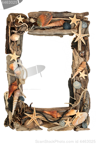 Image of Driftwood and Seashell Abstract Border