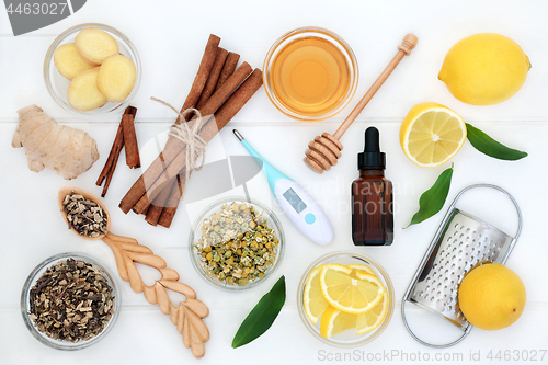 Image of Natural Ingredients for Cold and Flu Remedy