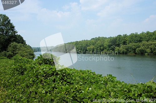 Image of Catawba River view