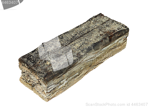 Image of isolated piece of wood decayed by fungus