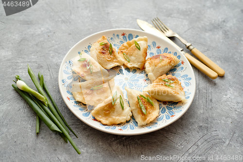 Image of Fried dumplings with meat