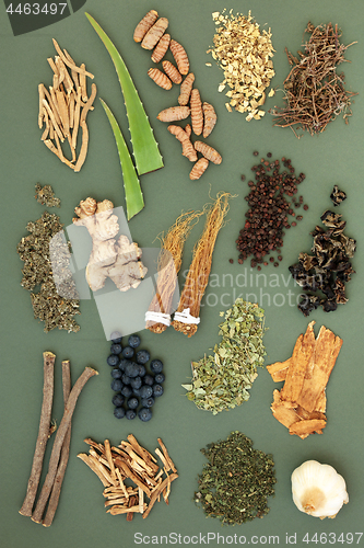 Image of Adaptogen Food Selection